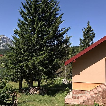 Durmitor Apartments Holiday Žabljak Exteriér fotografie